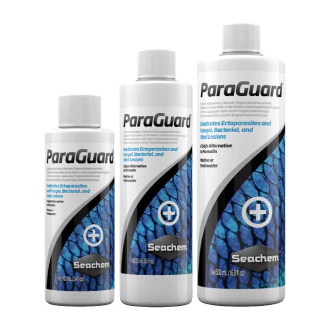 ค่าน้ำ แบคทีเรีย และการปรับสภาพ