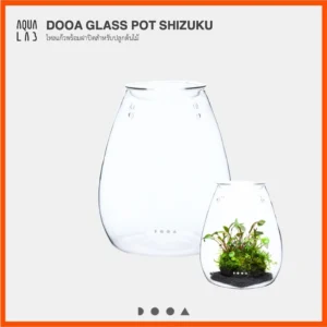 DOOA GLASS POT SHIZUKU โหลแก้วพร้อมฝาปิดสำหรับปลูกต้นไม้