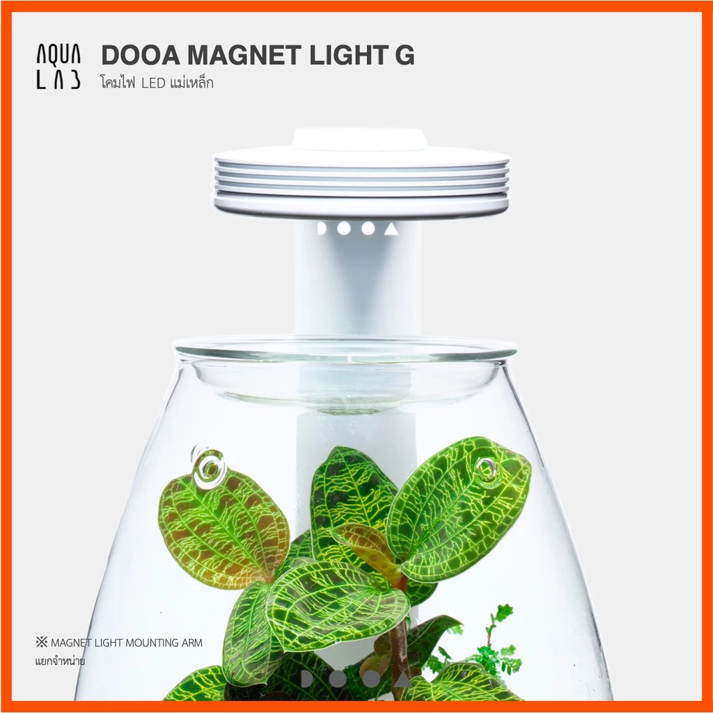 DOOA MAGNET LIGHT G โคมไฟ LED แม่เหล็กสำหรับเลี้ยงไม้ชื้น และตู้ปลาขนาดเล็ก