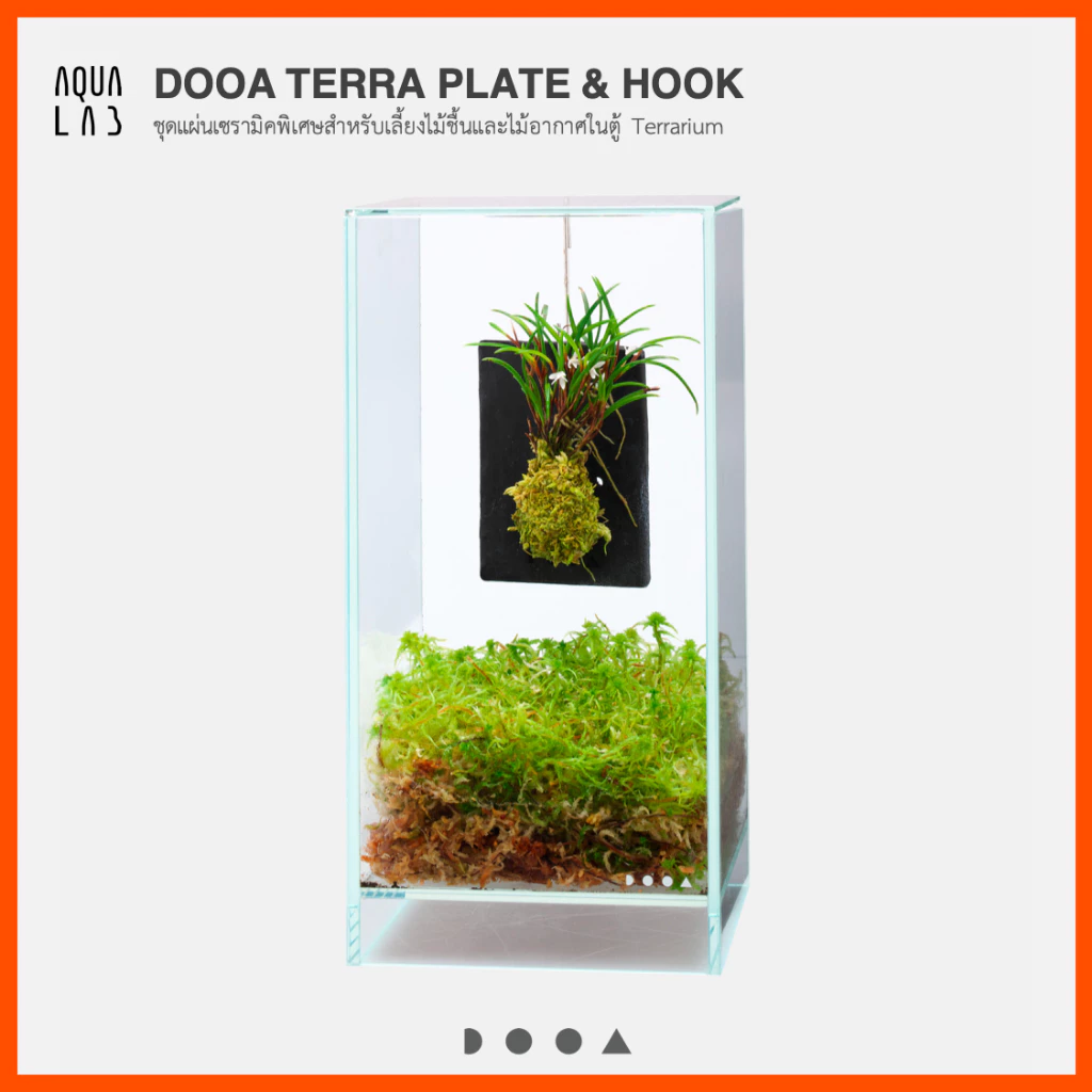 DOOA TERRA PLATE & HOOK ชุดแผ่นเซรามิคพิเศษสำหรับเลี้ยงไม้ชื้นและไม้อากาศในตู้ Terrarium
