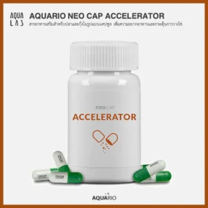 Aquario Neo Cap Accelerator สารอาหารเสริมสำหรับปลาและกุ้งในรูปแบบแคปซูล เพิ่มความอยากอาหารและกระตุ้นการวางไข่