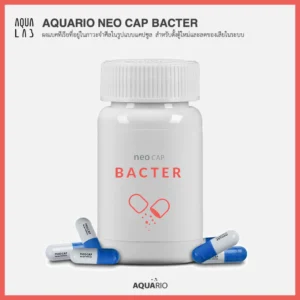 Aquario Neo Cap Bacter ผงแบคทีเรียที่อยู่ในภาวะจำศีลในรูปแบบแคปซูล สำหรับตั้งตู้ใหม่และลดของเสียในระบบ