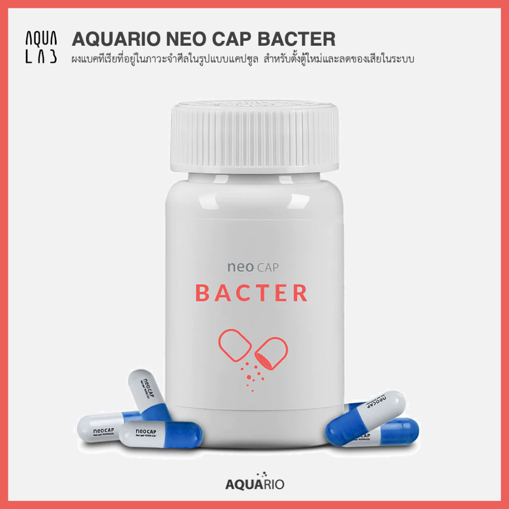 Aquario Neo Cap Bacter ผงแบคทีเรียที่อยู่ในภาวะจำศีลในรูปแบบแคปซูล สำหรับตั้งตู้ใหม่และลดของเสียในระบบ