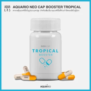 Aquario Neo Cap Booster Tropical สารกระตุ้นแบคทีเรียในรูปแบบแคปซูล สำหรับเพิ่มปริมาณแบคทีเรียที่ช่วยกำจัดของเสียในตู้ปลา