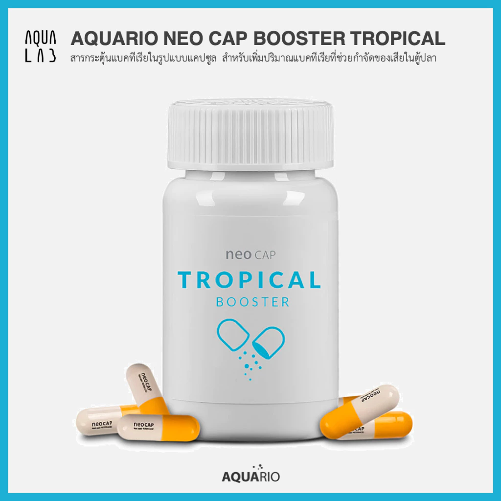 Aquario Neo Cap Booster Tropical สารกระตุ้นแบคทีเรียในรูปแบบแคปซูล สำหรับเพิ่มปริมาณแบคทีเรียที่ช่วยกำจัดของเสียในตู้ปลา