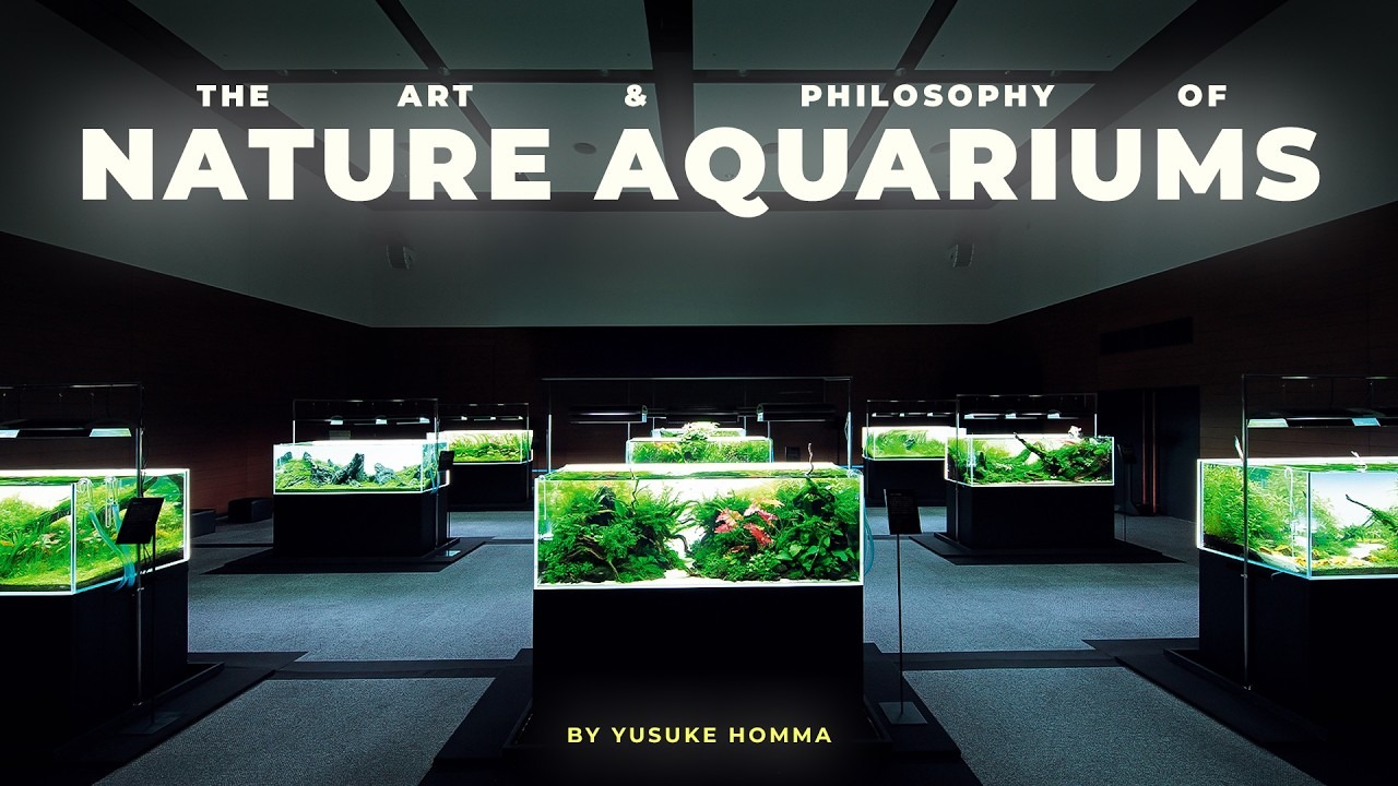 Nature Aquarium คืออะไร? ปรัชญาของ Takashi Amano | AQUA LAB