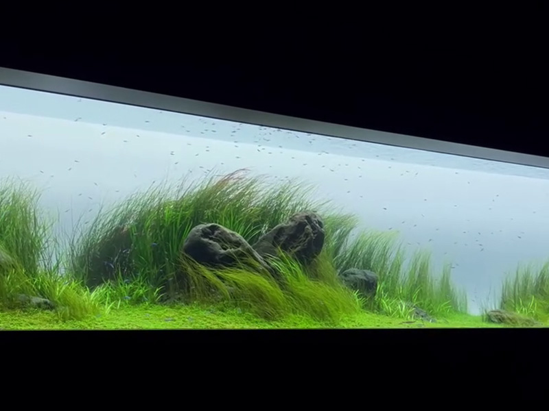 AOAO Sapporo Tank Tour ครบ 4 ตู้ — บทเรียนจากตู้สาธารณะ |  AQUA LAB
