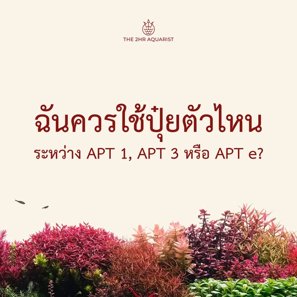 APT 1 vs APT 3 vs APT e เลือกปุ๋ยตัวไหนดี? | AQUA LAB