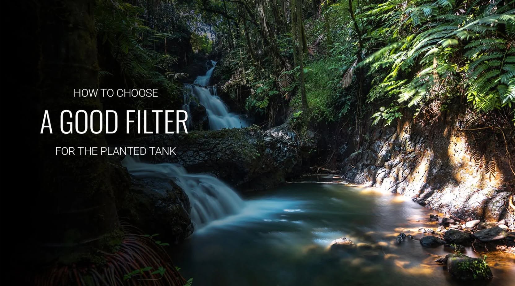 กรองนอก ตู้ไม้น้ำ เลือกยังไงให้ Flow Rate พอดี | AQUA LAB