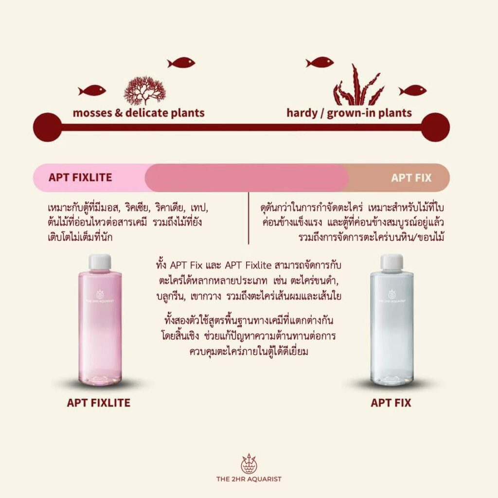 APT Fix และ APT Fixlite