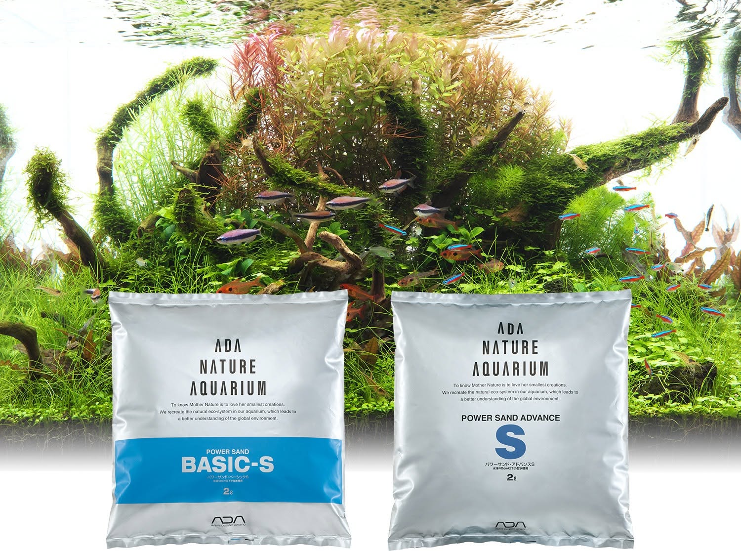 วิธีเลือกวัสดุปลูกไม้น้ำ Power Sand และ Aqua Soil | AQUA LAB