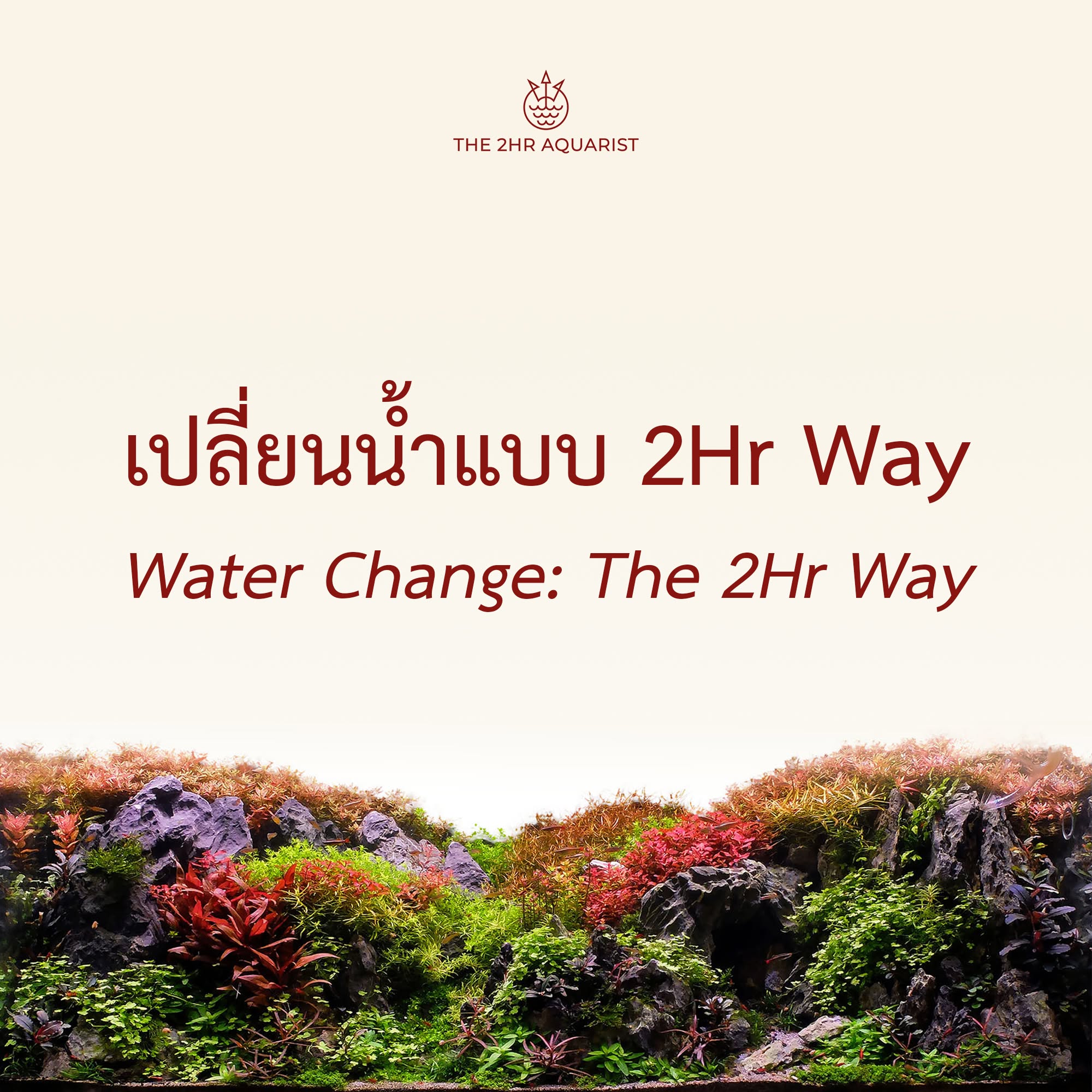 วิธีเปลี่ยนน้ำตู้ไม้น้ำแบบ 2Hr Aquarist | AQUA LAB