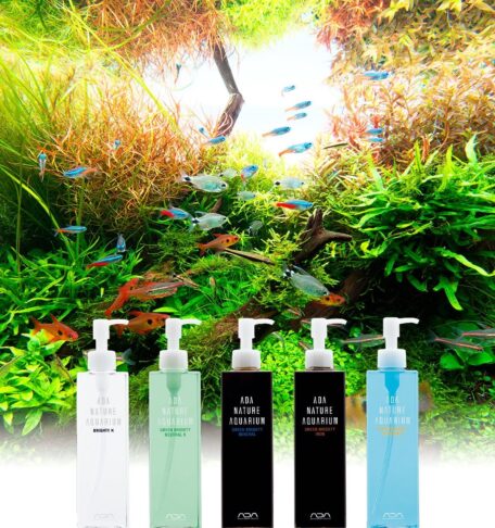 หลักการให้ปุ๋ย Nature Aquarium ตามแนวคิด ADA | AQUA LAB