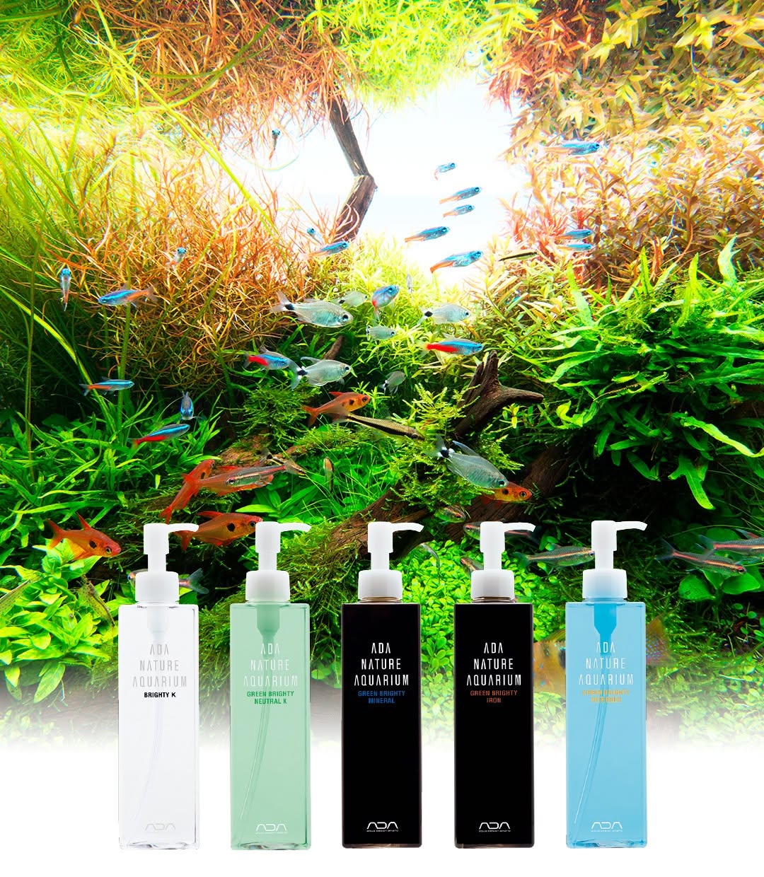 หลักการให้ปุ๋ย Nature Aquarium ตามแนวคิด ADA | AQUA LAB